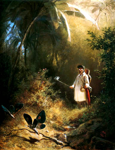 Der Schmetterlingsfnger 1840